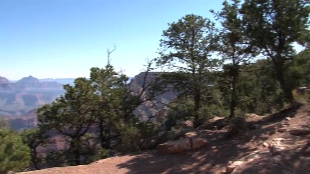 Parc National Grand Canyon — Video