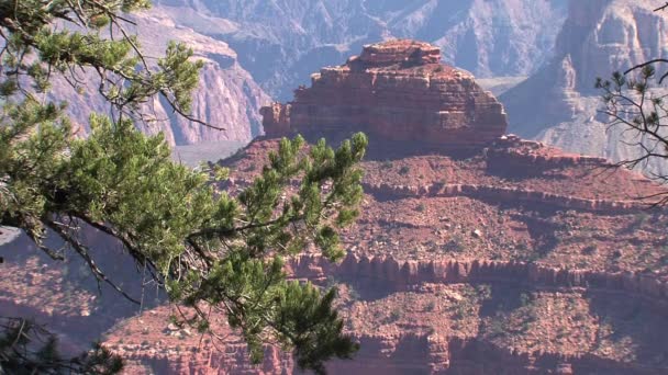 Grand Canyon Nationalpark Vergrößert — Stockvideo