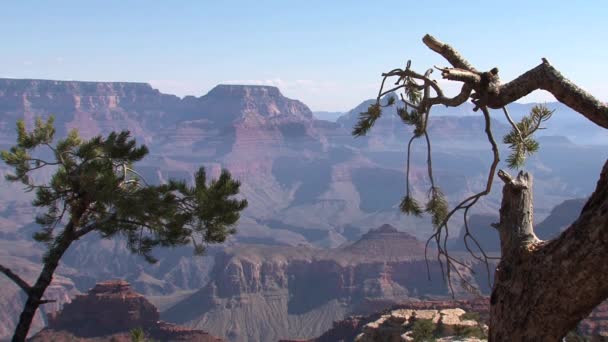 Grand Canyon Nationalpark — Stockvideo