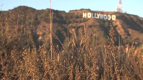 Sinal Hollywood Califórnia Eua — Vídeo de Stock