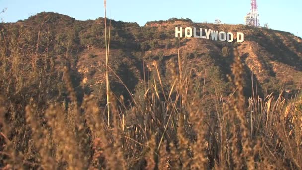 Hollywood Bord Californië Verenigde Staten — Stockvideo