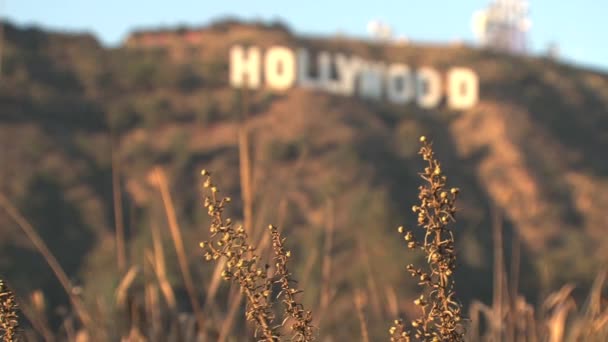 Hollywoodské Znamení Rozmazání Ostrému — Stock video
