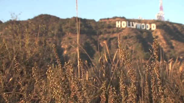 Flou Hollywood Signe Californie Usa — Video