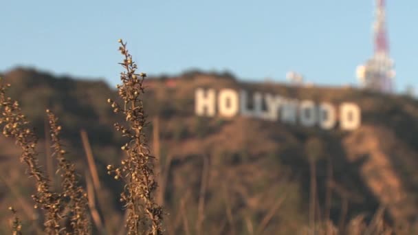 Hollywoodské Znamení Rozmazání Ostrému — Stock video