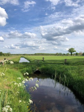 Hollanda, Overijssel 'deki tarım arazisi