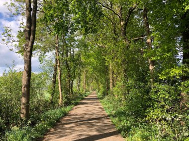 Overijssel, Hollanda 'da bisiklet yolu