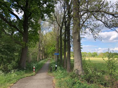 Overijssel, Hollanda 'da bisiklet yolu