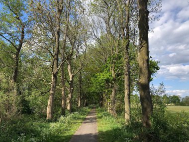 Overijssel, Hollanda 'da bisiklet yolu