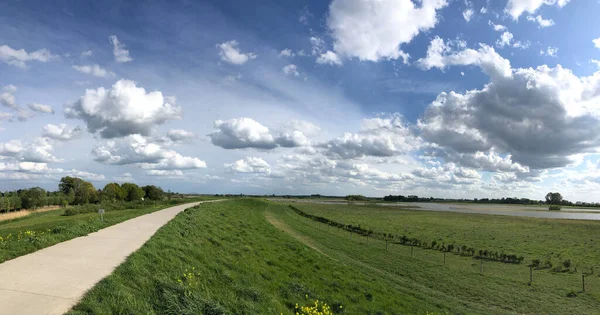 オランダのOverijsselのZalkの周りの自転車道 — ストック写真