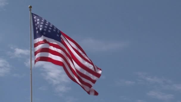 Bandera Americana Nueva York — Vídeo de stock