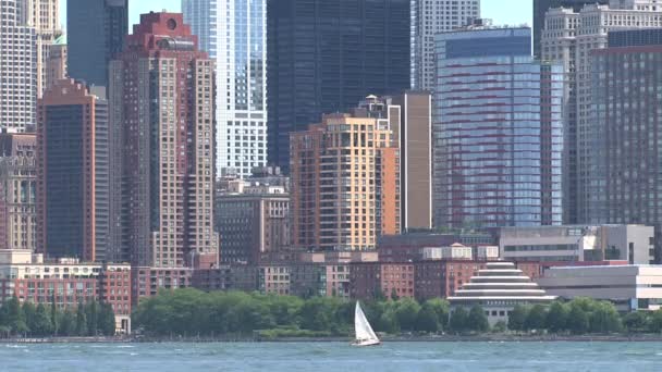 Skyline New York City 2010 — Stockvideo