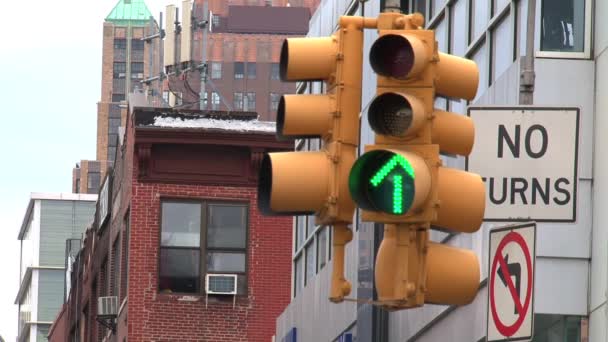 Ampel New York City — Stockvideo