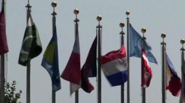 Birleşmiş Milletler New York 'ta bayraklar