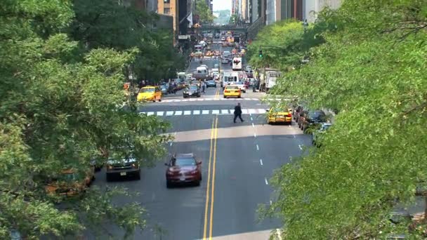 Žluté Taxíky Centru New Yorku — Stock video