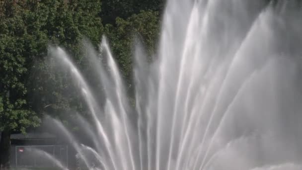 Millenium Fountain Seattle Estados Unidos — Vídeo de stock