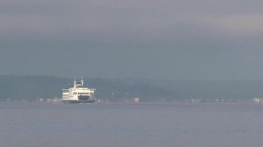 Seattle feribotu, Birleşik Devletler