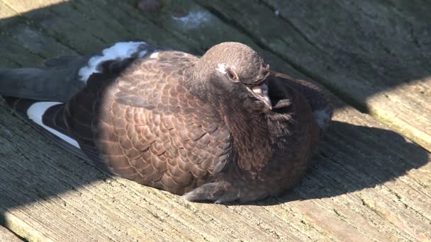 Seattle, États-Unis États-Unis