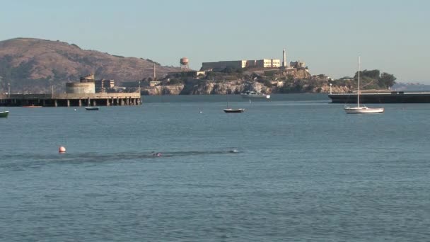 Personas Nadando Frente Alcatraz San Francisco — Vídeo de stock