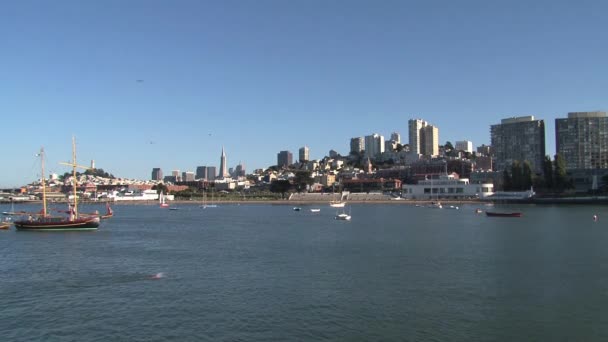 San Francisco Skyline Met Een Zwemmer — Stockvideo