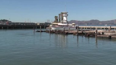 Rıhtım 39, San Francisco