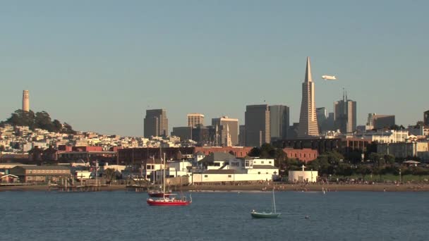 San Francisco Estados Unidos — Vídeo de Stock