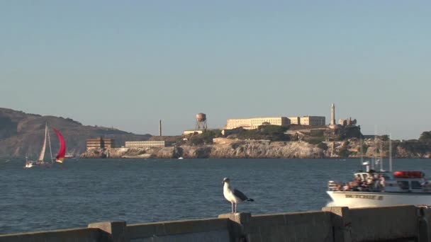 Alcatraz San Francisco Estados Unidos — Vídeos de Stock