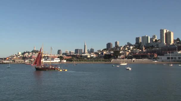 San Francisco Skyline Mit Einem Segelboot — Stockvideo