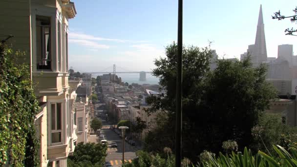 Het Centrum Van North Beach San Francisco — Stockvideo