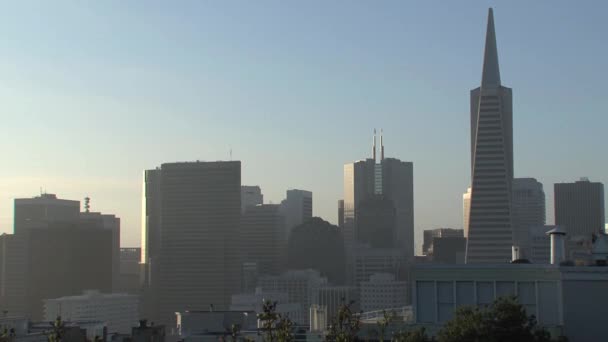 San Francisco Skyline Usa — Stock Video