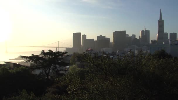 San Francisco Skyline États Unis — Video