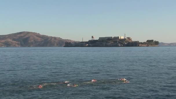 Pływacy Przed Alcatraz — Wideo stockowe