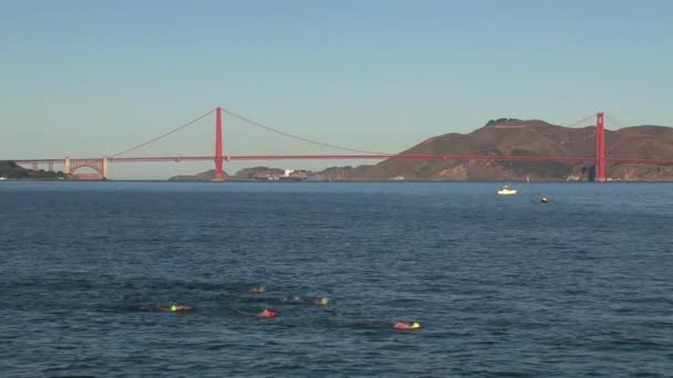 Pływacy Przed Mostem Golden Gate — Wideo stockowe
