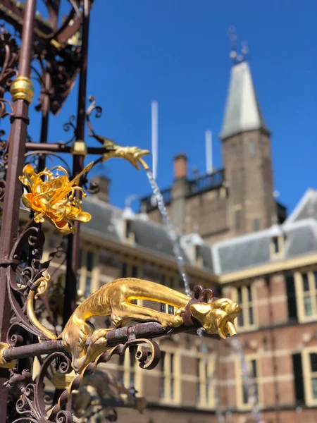 Fuente Binnenhof Honor Del Conde Guillermo Holanda Fotos De Stock