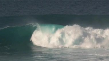 Büyük dalgalar Maui, Hawaii sahillerinde akıyor.