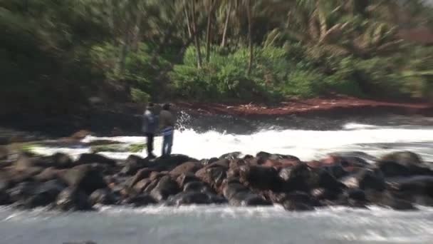 Maui Hawaii Balık Tutmak — Stok video