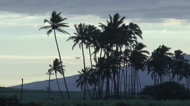 到达夏威夷毛伊岛的平原 — 图库视频影像