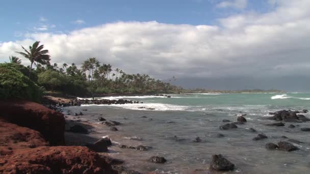 Costa Rocosa Maui Hawaii — Vídeo de stock