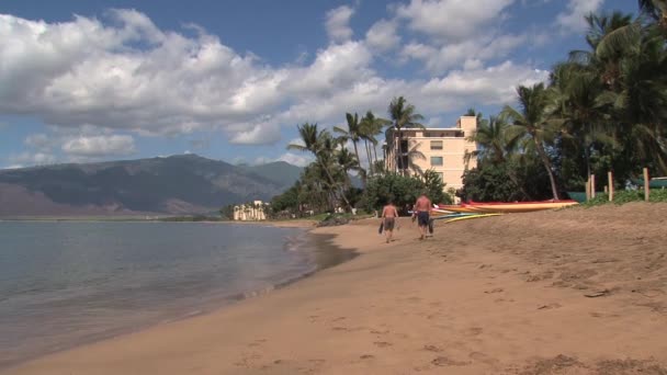 Beach Maui Hawaii — Stock Video