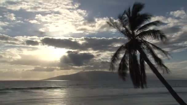 Solnedgang Tid Bortfalder Maui Hawaii – Stock-video