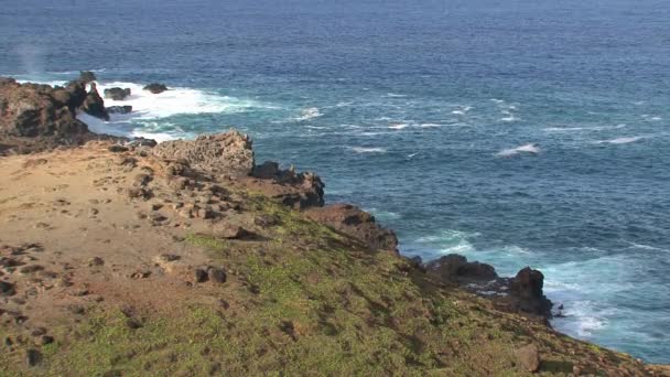 Берег Мауи Гавайях — стоковое видео