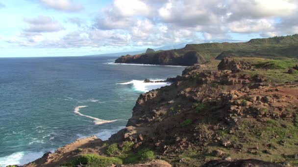 Wybrzeże Maui Hawajach — Wideo stockowe