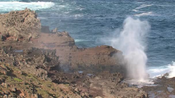 Blowhole Sur Maui Hawaï — Video