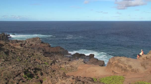 Blowhole Maui Hawaii — Stock Video