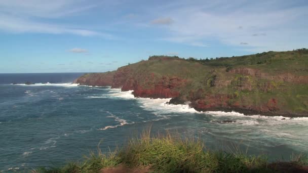 Coast Maui Hawaii — Stock Video