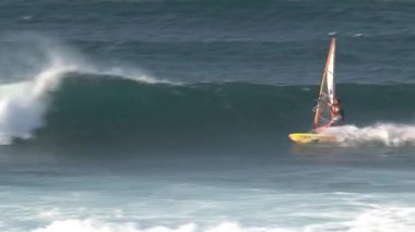 Maui, Hawaii 'de rüzgar sörfü