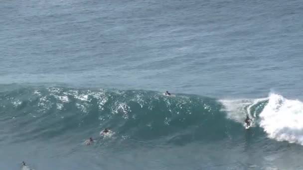 Κύμα Surfing Στο Maui — Αρχείο Βίντεο