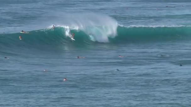 Wave Surfing Maui — Stock Video