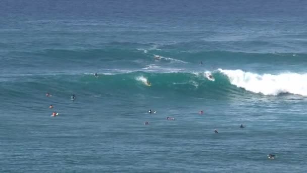 Κύμα Surfing Στο Maui — Αρχείο Βίντεο