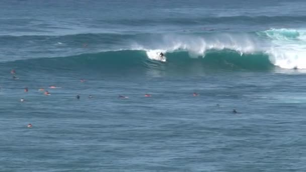 Vlna Surfování Maui — Stock video