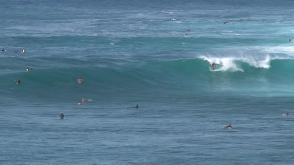 Wave Surfing Maui — Stock Video